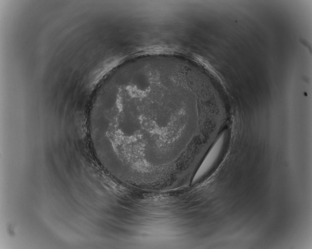 X0000099421213200805231621