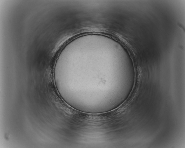 X0000099421215200805231621