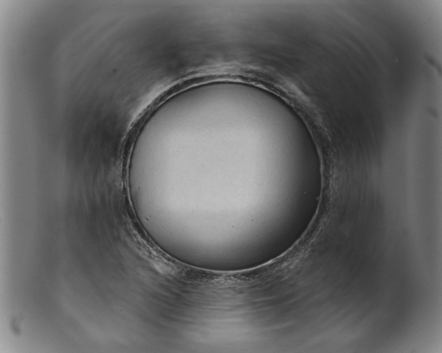X0000099421216200805231621