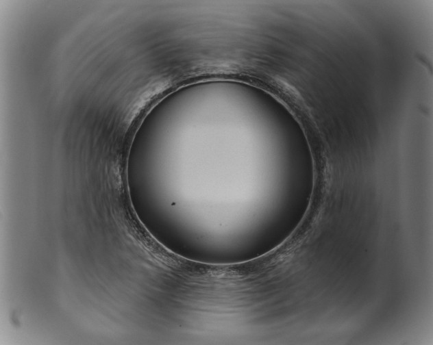 X0000099421218200805231621