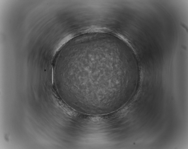X0000099421219200805231621
