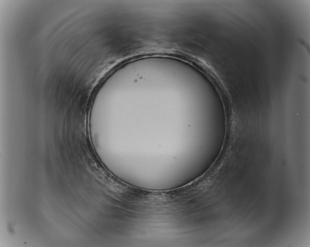 X0000099421220200805231621
