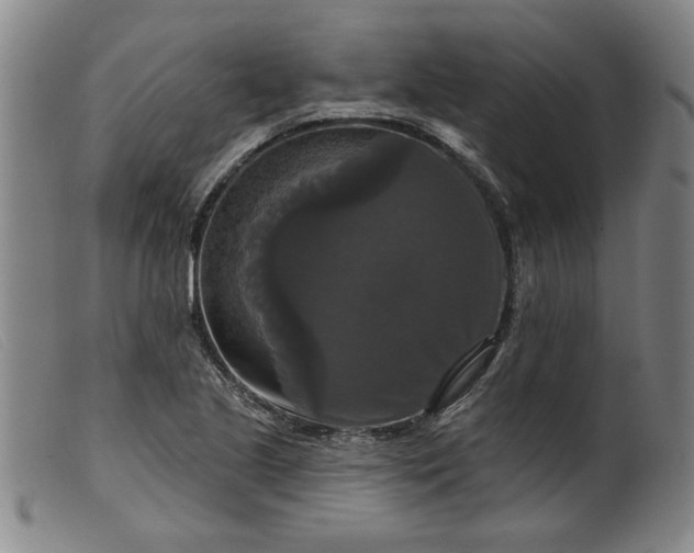 X0000099421221200805231621