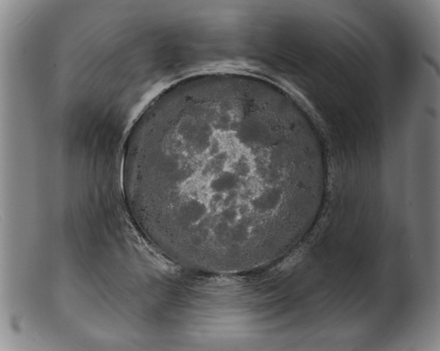 X0000099421224200805231621