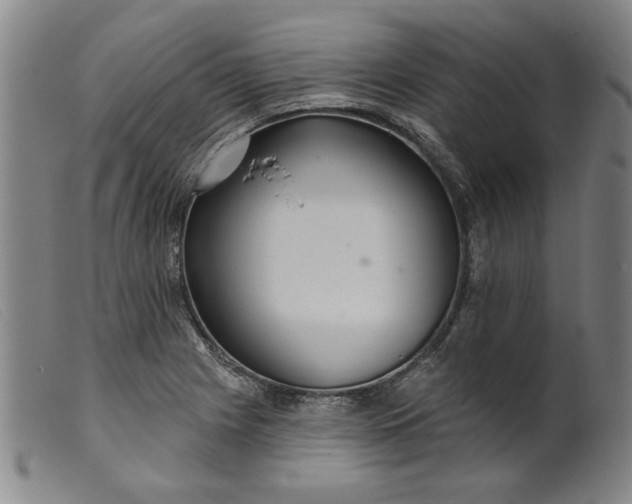 X0000099421225200805231621