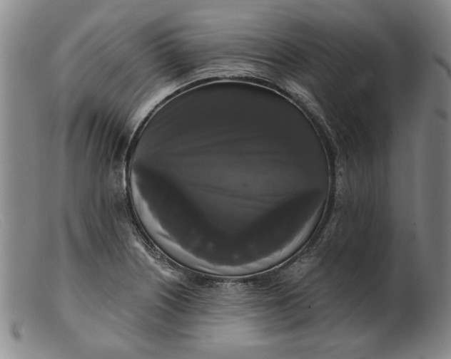 X0000099421226200805231621