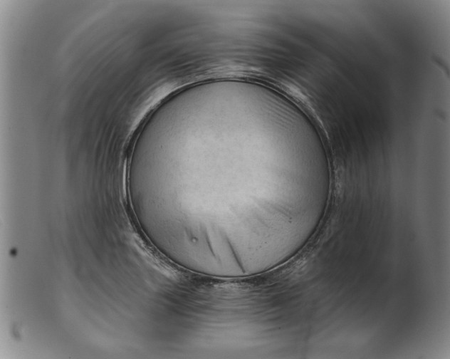 X0000099421227200805231621