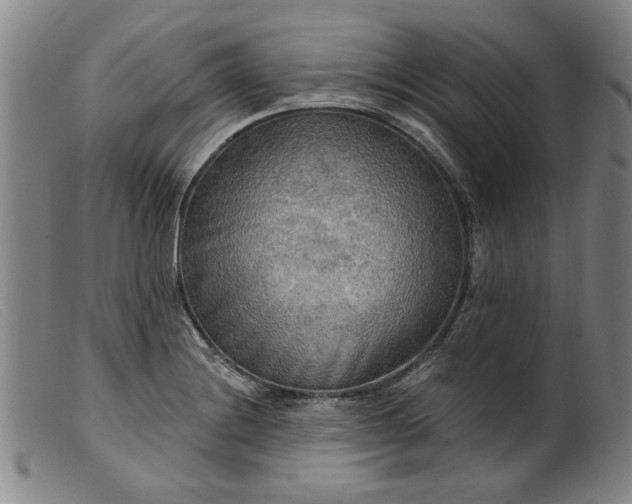 X0000099421228200805231621