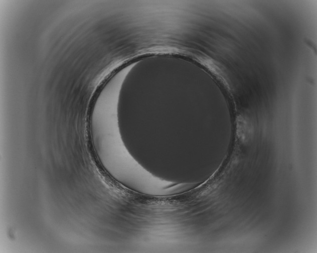 X0000099421229200805231621