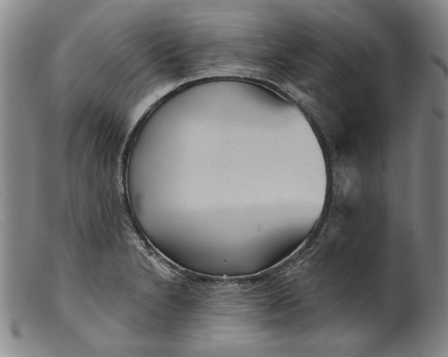 X0000099421230200805231621