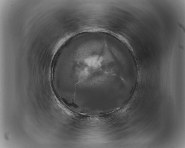 X0000099421231200805231621