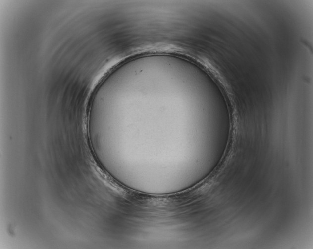 X0000099421232200805231621