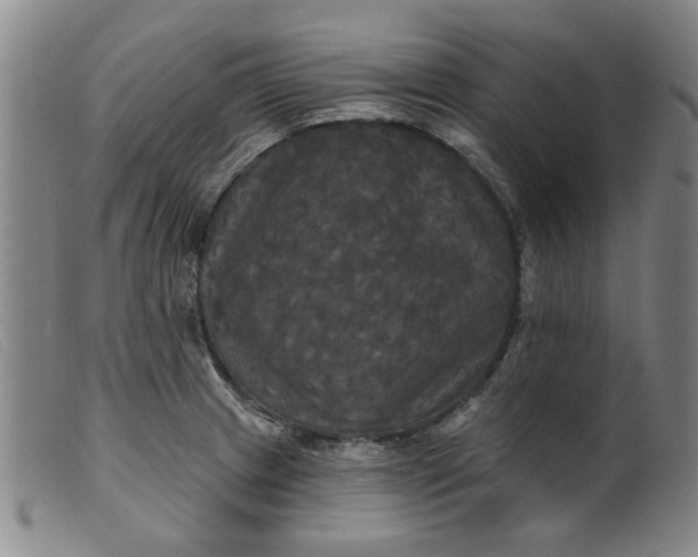 X0000099421233200805231621