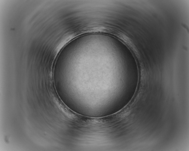 X0000099421234200805231621