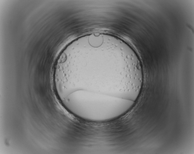 X0000099421235200805231621