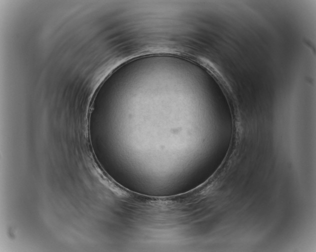 X0000099421236200805231621