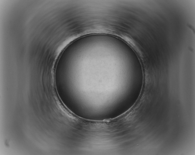X0000099421238200805231621