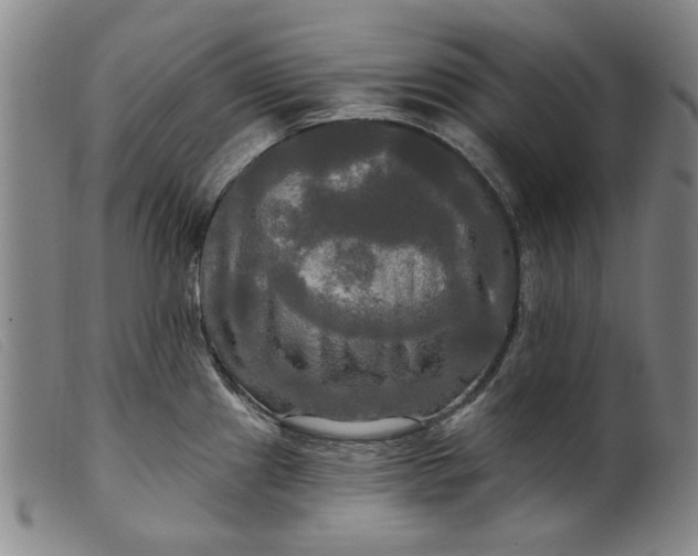 X0000099421241200805231621