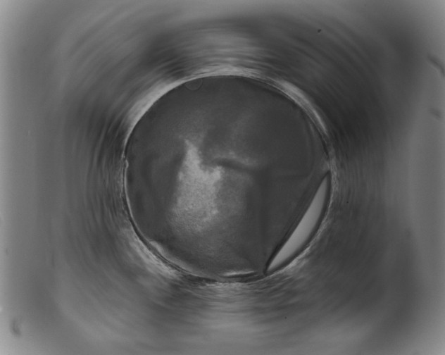 X0000099421244200805231621