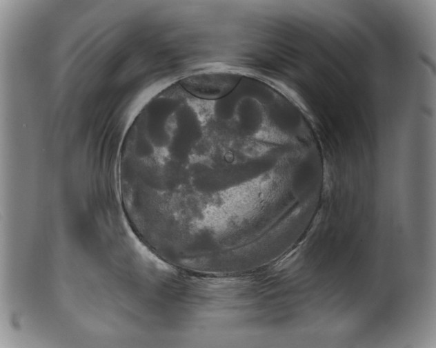 X0000099421247200805231621