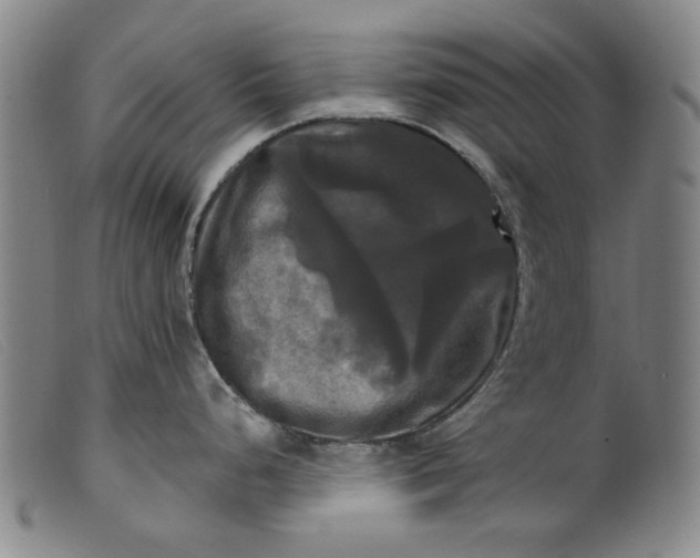 X0000099421248200805231621