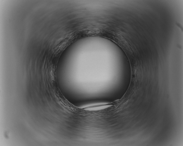 X0000099421250200805231620