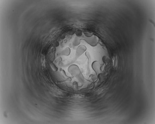 X0000099421251200805231620