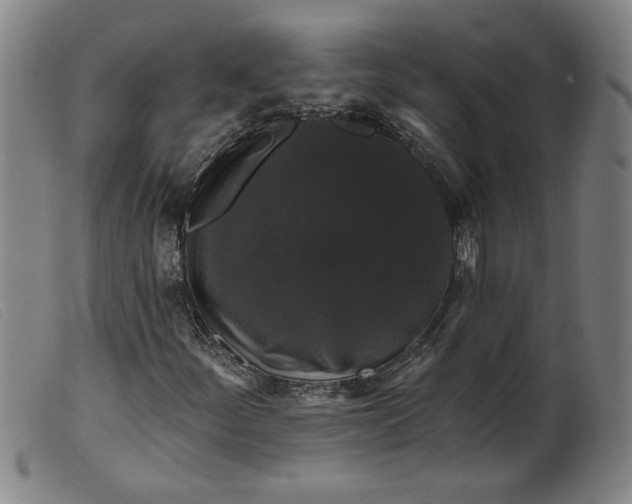 X0000099421252200805231620