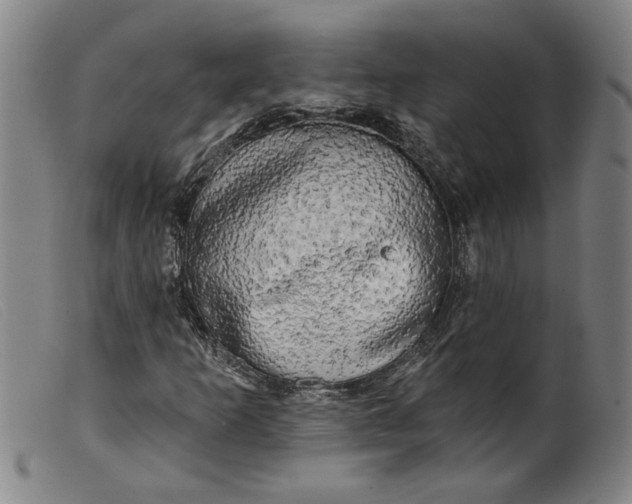 X0000099421253200805231620
