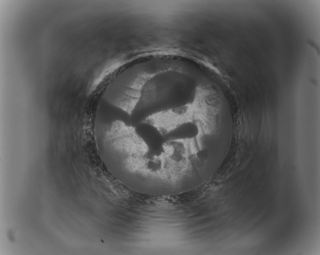 X0000099421255200805231620