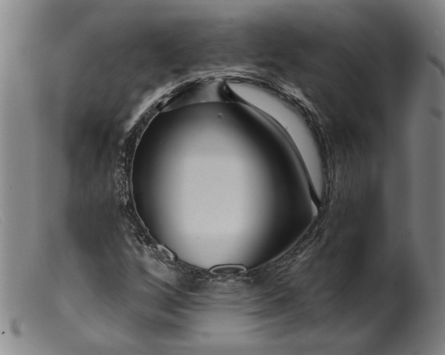 X0000099421256200805231620