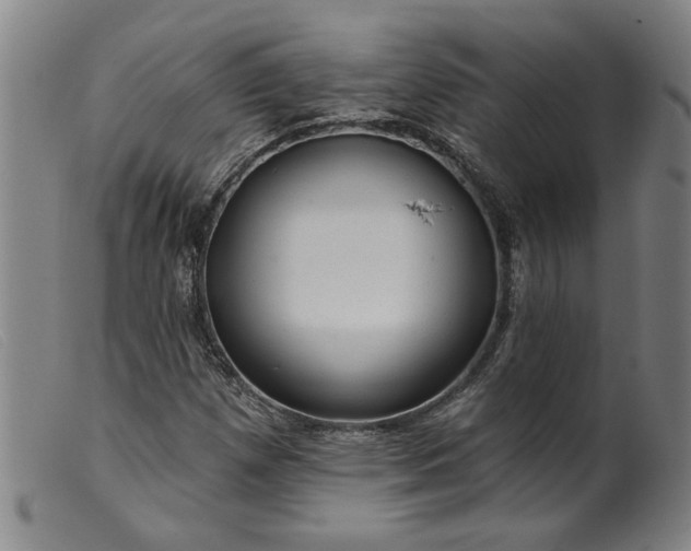 X0000099421257200805231620