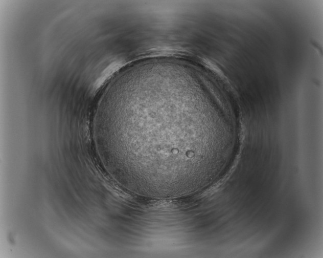 X0000099421259200805231620