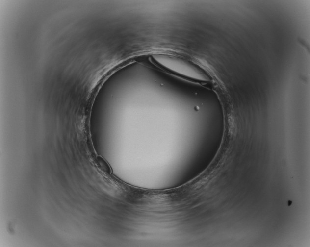 X0000099421260200805231620