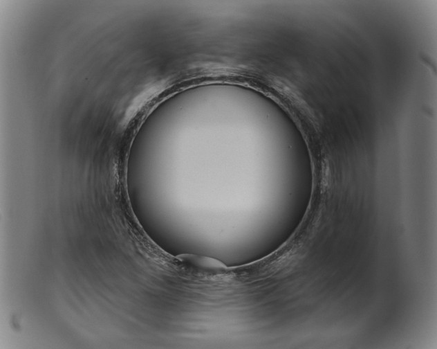 X0000099421261200805231620