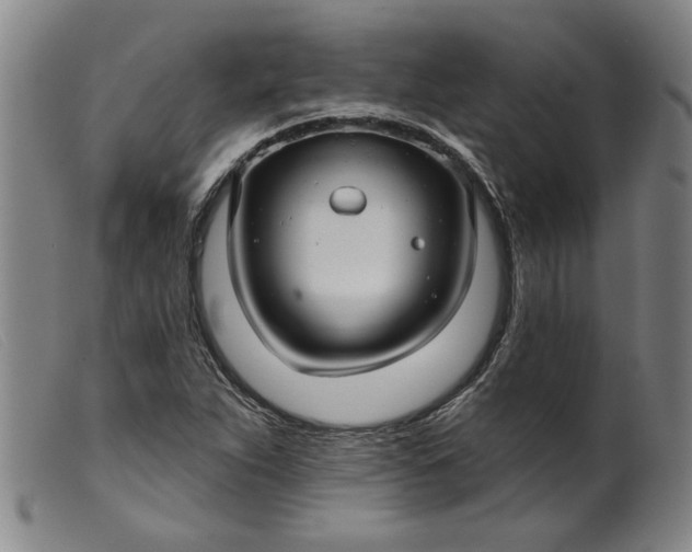 X0000099421263200805231620