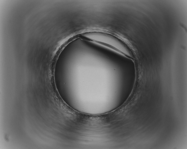 X0000099421264200805231620