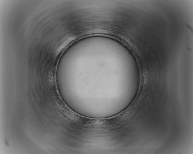 X0000099421266200805231620