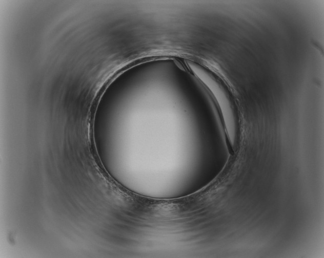X0000099421268200805231620
