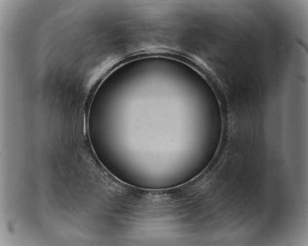 X0000099421269200805231620