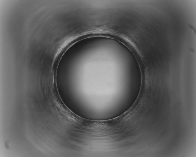 X0000099421270200805231620
