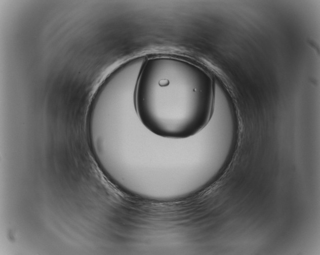X0000099421272200805231620
