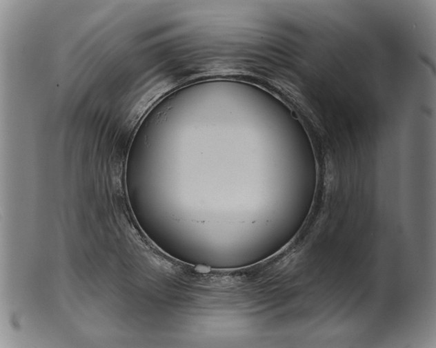X0000099421273200805231620