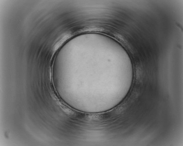 X0000099421274200805231620