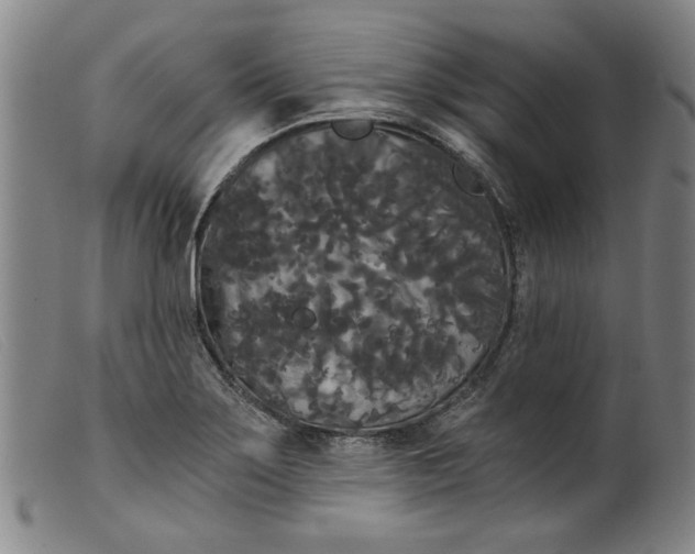 X0000099421275200805231620