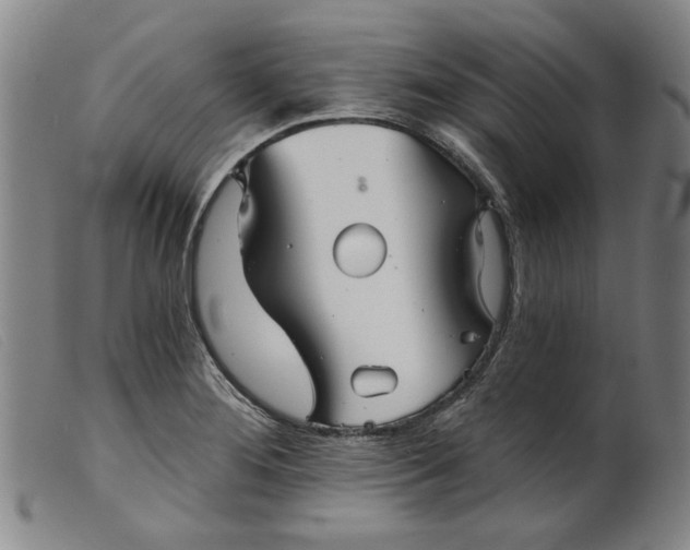 X0000099421276200805231620