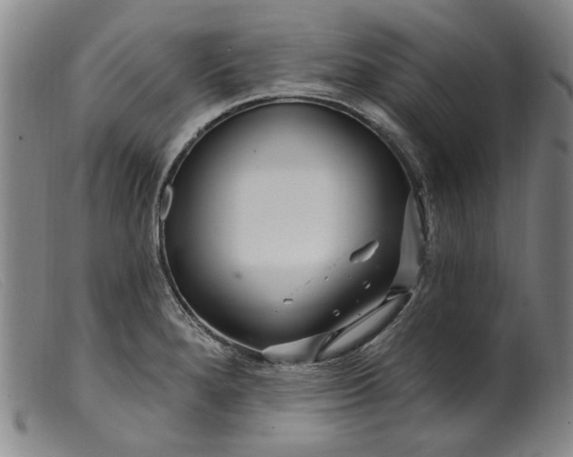 X0000099421280200805231620