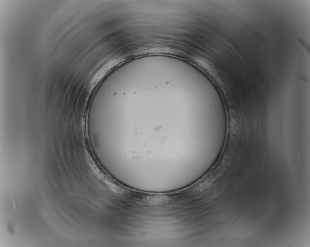 X0000099421282200805231620