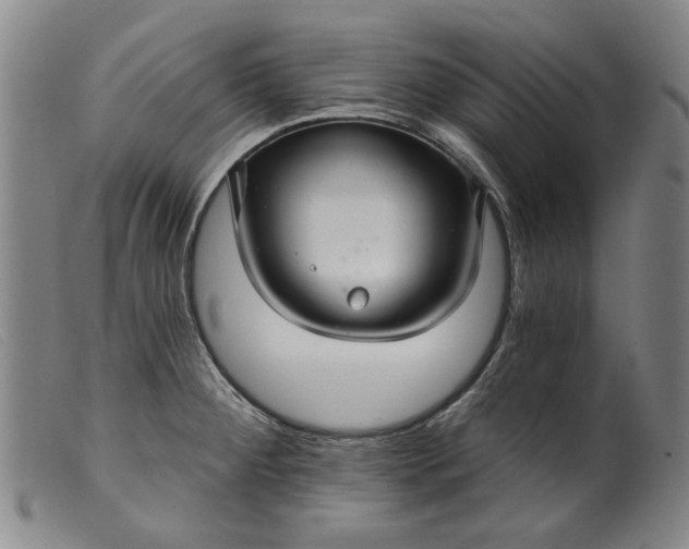 X0000099421284200805231620