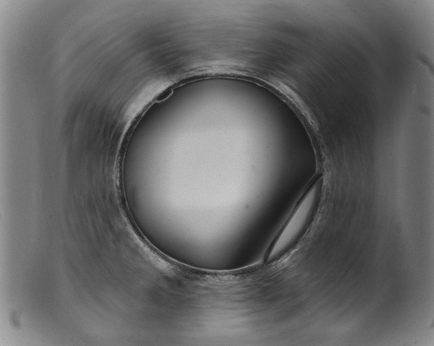 X0000099421285200805231620